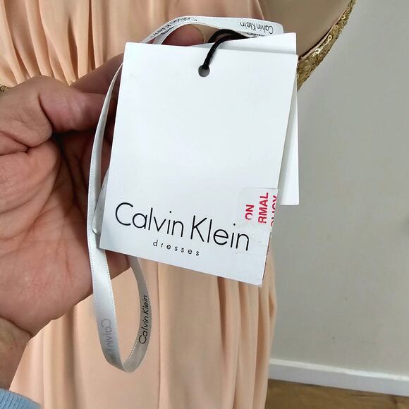 NWT Calvin Klein Dress Nude Flowy Chiffon Layers Soft Sheer Goddess Ballet 10 - Picture 13 of 15